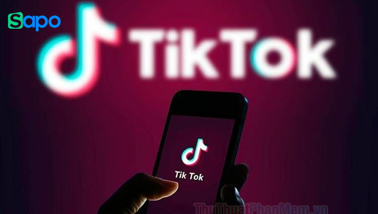 Cách khôi phục video đã xóa trên TikTok do xóa nhầm, vi phạm