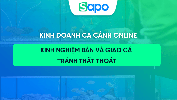 Kinh doanh cá cảnh online: Kinh nghiệm bán và giao cá tránh thất thoát