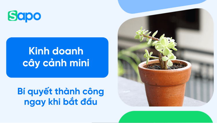 Kinh doanh cây cảnh mini thế nào dễ thành công và thu được lợi nhuận cao?