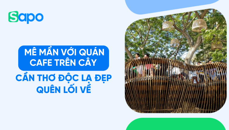 Mê mẩn với quán cafe trên cây Cần Thơ độc lạ đẹp quên lối về