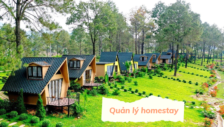 Cách quản lý homestay hiệu quả có thể bạn chưa biết?