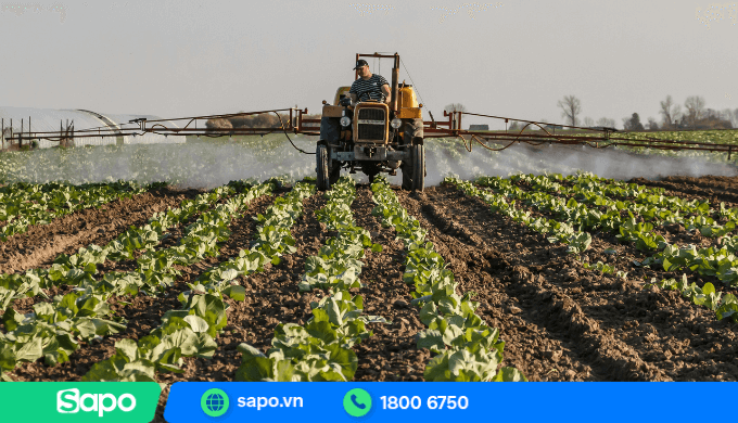 Kinh doanh vật tư nông nghiệp với vốn 200 triệu