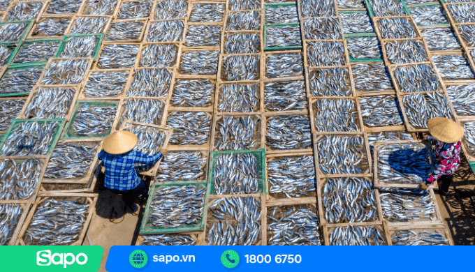 tận dụng thế mạnh sẵn có của địa phương để kinh doanh với vốn 200 triệu