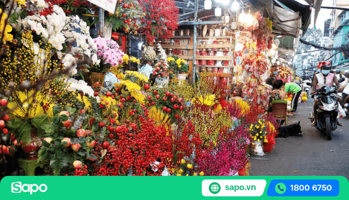 bán hoa tết cần bao nhiêu vốn