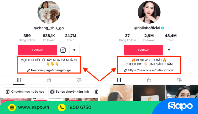 thêm link bio trên tiktok