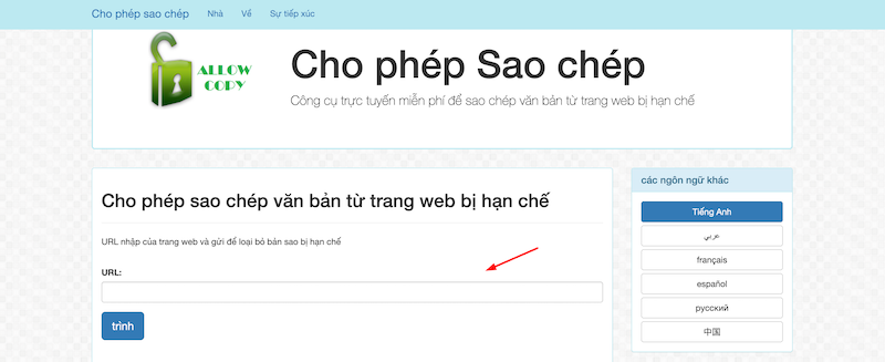 Cách copy trên web bằng allowcopy.com