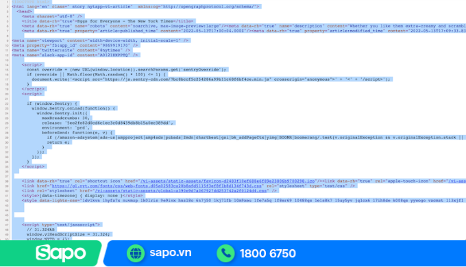 Copy text bằng xem nguồn trang