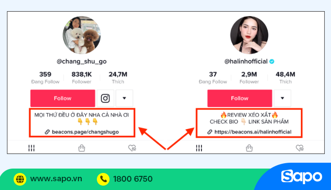 link bio trên tiktok