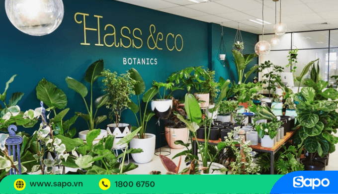 Mặt bằng kinh doanh cây cảnh mini