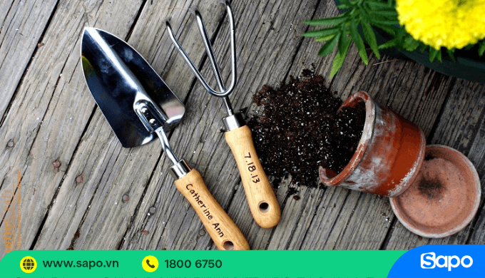 Phụ kiện cây cảnh