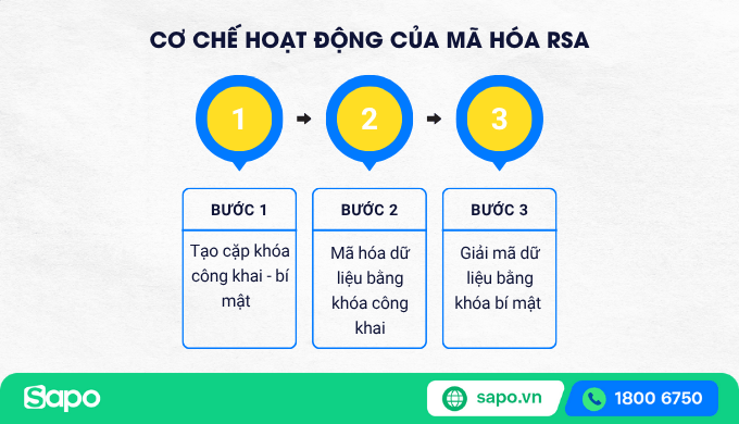 Cơ chế hoạt động của mã hóa RSA