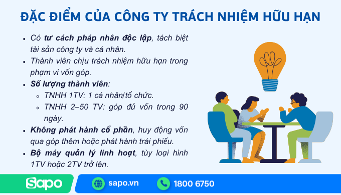 đặc điểm của công tý TNHH