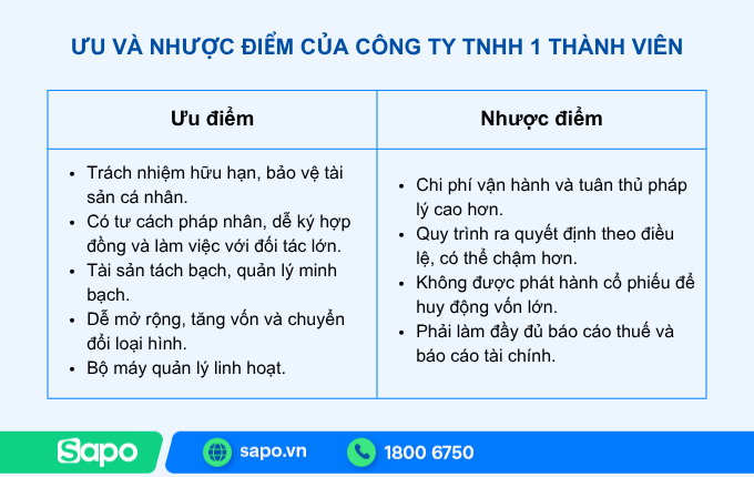 công ty TNHH 1 thành viên
