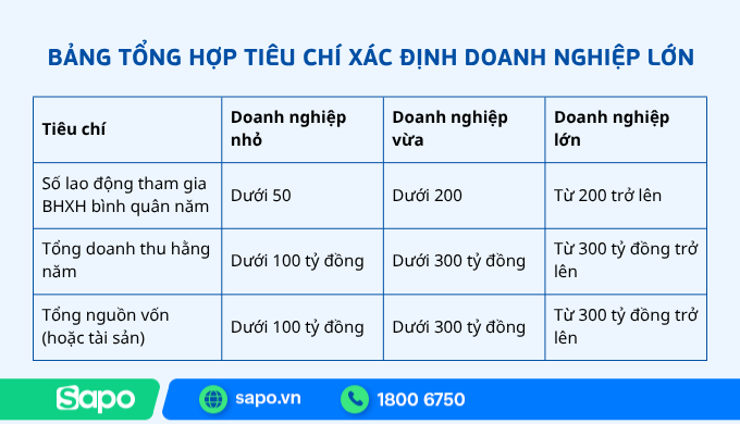 tiêu chí xác định doanh nghiệp lớn