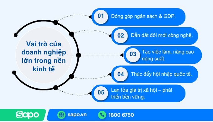 vai trò của doanh nghiệp lớn