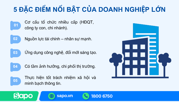 đặc điểm của doanh nghiệp lớn