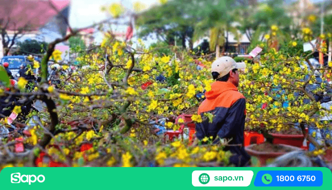 Tết 2026 nên bán gì