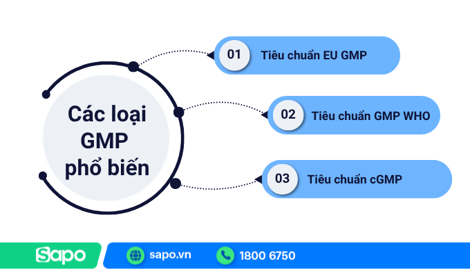 Các loại GMP phổ biến hiện nay