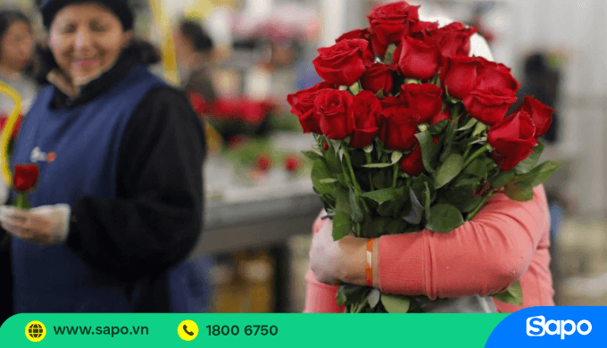 Nghiên cứu thị trường cho cửa hàng hoa tươi