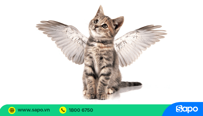 Bản thân bạn cũng là một nhà đầu tư ý tưởng kinh doanh