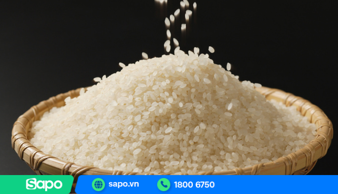 nghiên cứu thị trường khi mở đại lý gạo