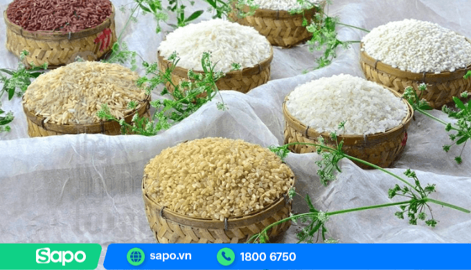 Dự toán lợi nhuận và kế hoạch phát triển kinh doanh gạo online lâu dài