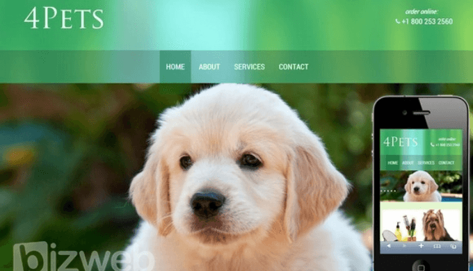 Thiết kế website bán thú cưng