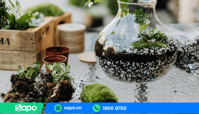 Kinh doanh cây xanh