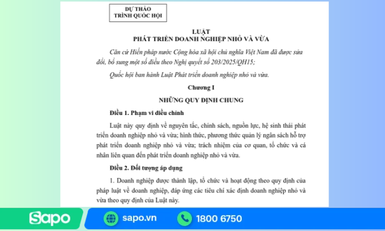 Dự thảo Luật Phát triển DNNVV 2026