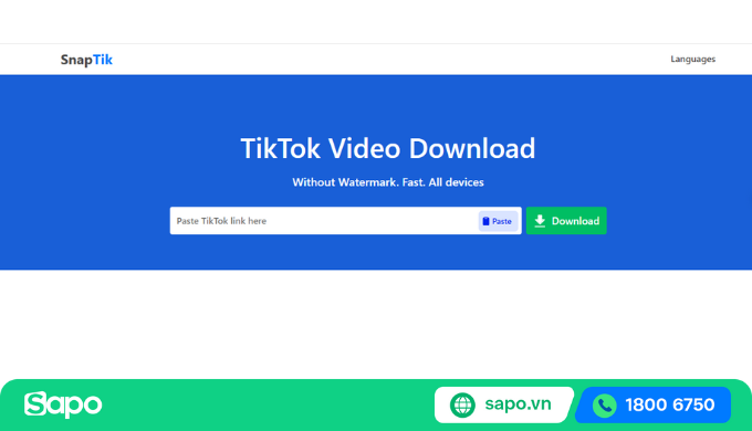 SnapTik phiên bản website