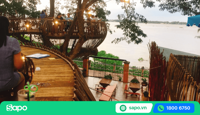 Quán cafe trên cây Cần Thơ có kiến trúc vô cùng đặc biệt