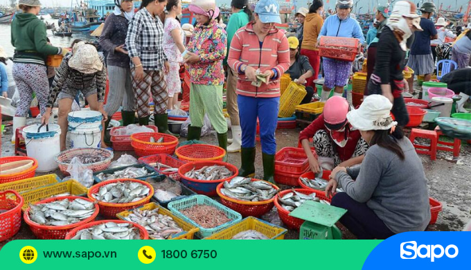 Mối hàng nguồn hải sản tươi sống tại các làng chài
