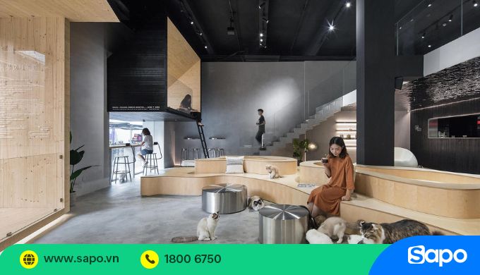 cafe thú cưng
