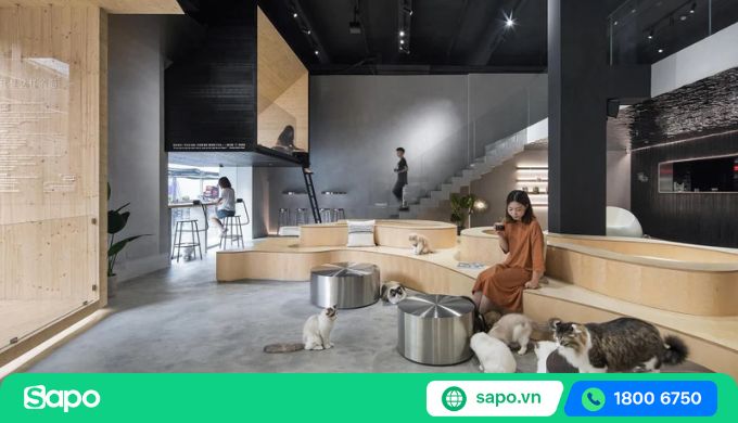 mô hình kinh doanh cafe thú cưng