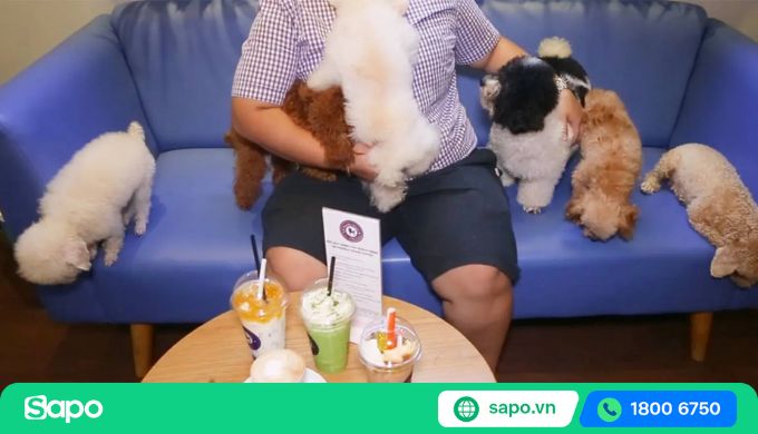 nhược điểm của mô hình kinh doanh cafe thú cưng