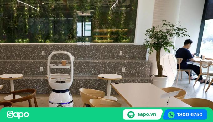 Dọn dẹp quán cafe thú cưng mỗi ngày