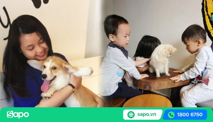 cách tăng doanh thu cho quán cafe thú cưng