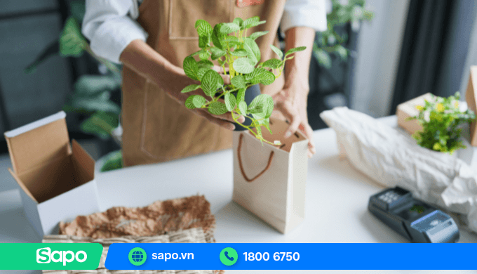 Tìm hiểu phần mềm quản lý cửa hàng cây cảnh