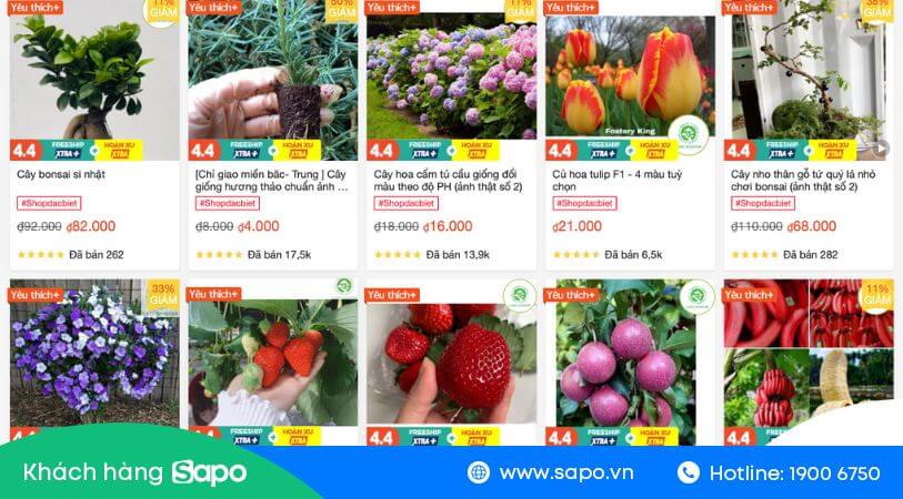 Cửa hàng cây cảnh 789 ứng dụng Sapo để quản lý cửa hàng bán trên Shopee