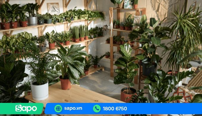 Cửa hàng cây cảnh có nhiều chủng cây, mẫu mã chậu, phụ kiện khiến việc quản lý thủ công khó khăn