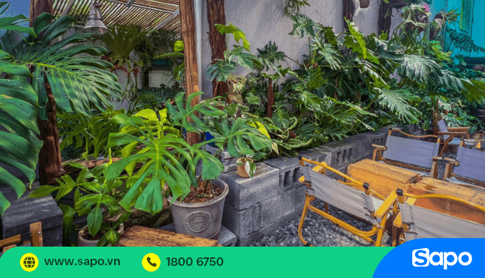 decor quán cà phê cây cảnh