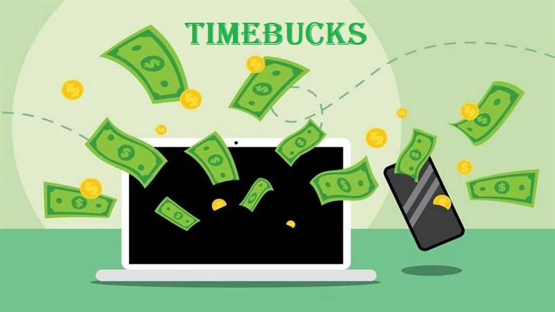 web khảo sát timebuck