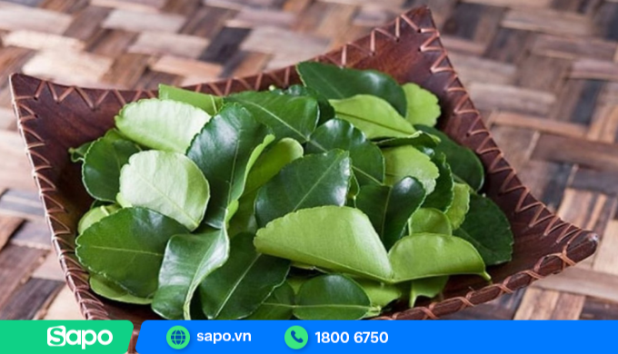 Nước lá bưởi giải đen