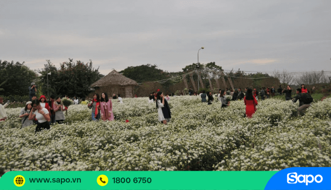 Kinh doanh vườn hoa chụp ảnh