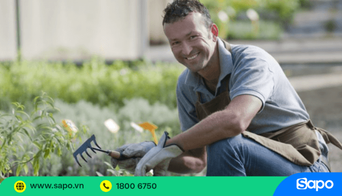 Dịch vụ chăm sóc và tỉa cây cảnh